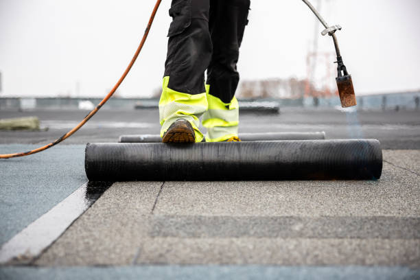 Best Roof Moss and Algae Removal  in Bath, ME